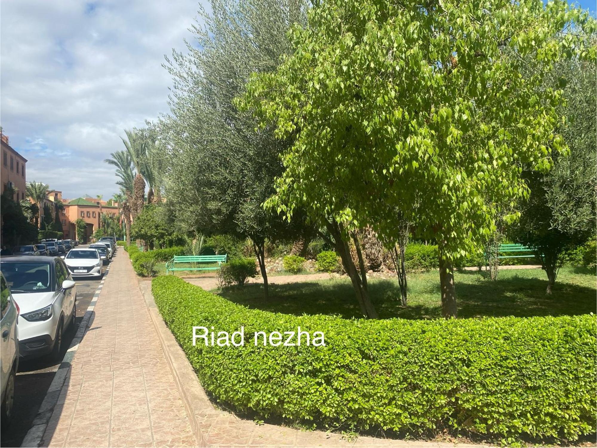 Riad Nezha Avec Jacuzzi Et 3 Piscines Au Coeur De Marrakesh Buitenkant foto